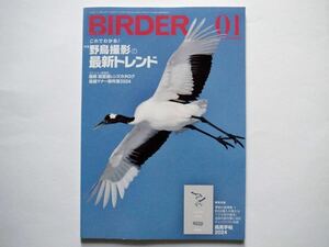 ◆BIRDER（バーダー）2024年1月号　特集：これでわかる！野鳥撮影の最新トレンド