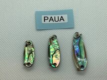 新品 ワイズカスタム Wisecustom シェルスプーン PAUA 25 30 35mm 各１ 計３個セット_画像1