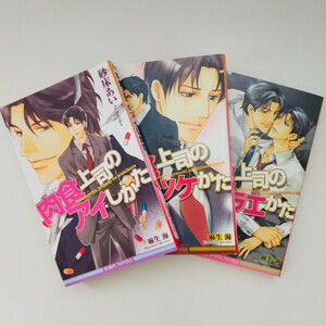 砂床あい 肉食上司のアイしかた 肉食上司のシツケかた 肉食上司のトラエかた リブレ libre 麻生海 BL小説 BLノベル