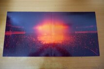 F3-031＜2枚組LP/クリア盤/美品＞Arctic Monkeys / Live At The Royal Albert Hall_画像3