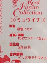 Furuta 東京ミュウミュウ　①ミュウイチゴ　箱入　フルタチョコ入　講談社　テレビ愛知　本名　桃宮いちご　身長152㌢　体重　42㌔　_画像6