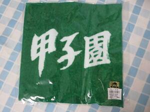 甲子園 カラーハンドタオル 緑 24cm