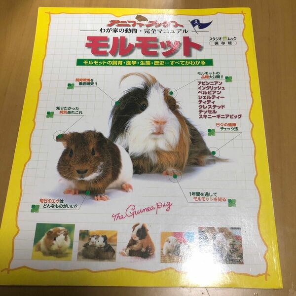 モルモット モルモットの飼育医学生態歴史…すべてがわかる スタジオムックわが家の動物完全マニュアル８／スタジオエス