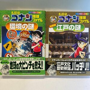 名探偵コナン推理ファイル江戸の謎　特別編 /環境の謎（小学館学習まんがシリーズ　CONAN COMIC STUDY SERIES