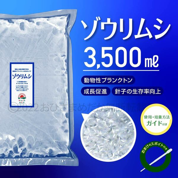 【ゾウリムシ　種水　増量中　3500ml　送料無料】 めだか　メダカ　針子 らんちゅう ベタ 稚魚 　psb　 金魚　ミジンコ　クロレラ　などに