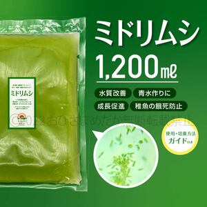 超濃縮　ミドリムシ　1200ml　めだか　メダカ　針子　エサ 稚魚 ベタ　psb　 金魚　ミジンコ　クロレラ　ゾウリムシ の培養ガイド付き