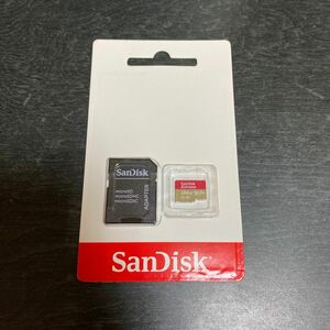 SanDisk Extreme 256GB