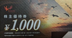 【匿名配送無料】コシダカホールディングス 株主優待券 20000円分 （1000円券×20枚）有効期限は2024年11月30日　カラオケまねきねこ　など