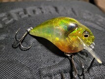 ★Megabass★STW S-CRANK 1.2 メガバス エスクランク GP FATTY OIKAWA 未使用品 Length 60mm Weight 3/8oz クランクベイト 伊東 由樹_画像7