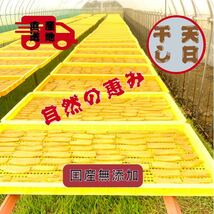 H1K 送料無料 国産 茨城県産 ひたちなか市産 柔らかい 甘い 黄金干し芋 ほしいも 紅はるか平干し1キロ_画像7