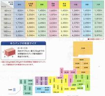 沖縄　 ヒレシャコガイ 約10kg_画像4