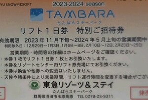 【大人1枚価格】たんばらスキーパーク大人全日リフト1日引換券1枚（数量3）