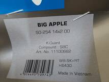 SCHWALBE BIG APPLE シュワルベ ビッグアップル　WB　14×2.00　ダホン K3　未使用/2本セット　チューブ付き　送料無料_画像4