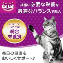 カルカン パウチ 成猫用 1歳から スープ仕立て かつおたい添え 70g×16袋 (まとめ買い) [キャットフード]_画像2