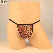 新品 未使用 送料無料mz7赤色男らしいワイルドヒョウ柄メンズTバック セクシーメンズショーツ シースルーGスト メンズインナー・メンズ下着_画像9