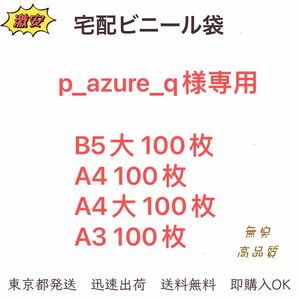 専用　宅配ビニール袋　4点