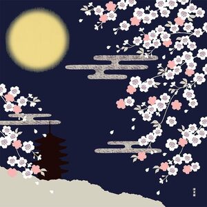 濱文様　小布　月夜の桜　コン　約50×50cm　綿100％　日本製　新品
