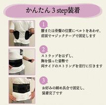 大人気　再入荷【癖になる気持ちよさ】腰痛　骨盤ベルトコルセット姿勢矯正 ガードナーベルト 類似品　腰痛ベルト サポーター 骨盤矯正_画像7