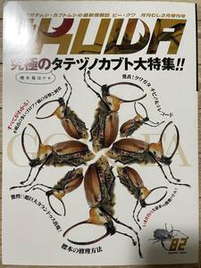 ビークワ BE-KUWA 82 2022年 2月号 究極のタテヅノカブト大特集！！ 分類と飼育 標本の修理方法 94.5㎜超巨大タランドゥス