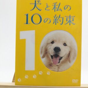 犬と私の10の約束 [プレミアムエディション] (2枚組) [DVD]