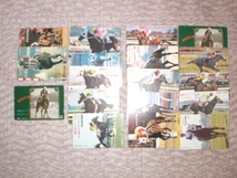 JR東日本・千葉　オレンジカード　１０００　優駿牝馬シリーズ２０　　（18枚）　送料無料_画像1