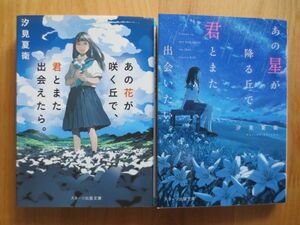 ☆「あの花が咲く丘で、君とまた出会えたら。」　「あの星が降る丘で、君とまた出会いたい。」　２冊セット