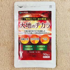 【送料無料】大地のチカラ　約3ヶ月分(90日分90粒×1袋) 高麗人参 トナカイの角 マカ　サプリメント シードコムス