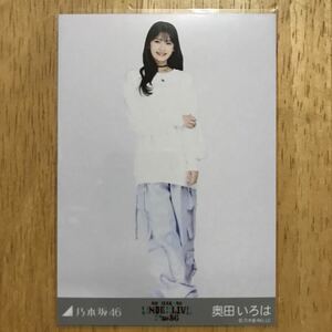 乃木坂46 奥田いろは チョーカーネックレス 生写真 ヒキ 1枚 検) 会場 限定 アンダーライブ アンダラ ぴあアリーナMM