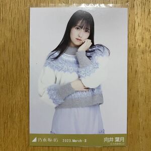 乃木坂46 向井葉月 ファーニット 生写真 チュウ 1枚 検) web 限定 月別 2023.March-Ⅱ