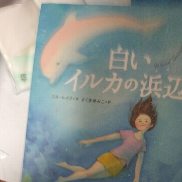 白いイルカの浜辺 (評論社の児童図書館・文学の部屋) ジル・ルイス/作 さくまゆみこ/訳