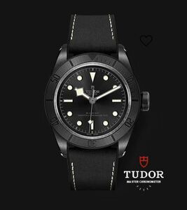 TUDOR チューダー　ブラックベイセラミック　79210CNU