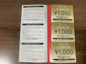 西武ホールディングス 株主優待 共通割引券 10000円分　2024年5月31日まで