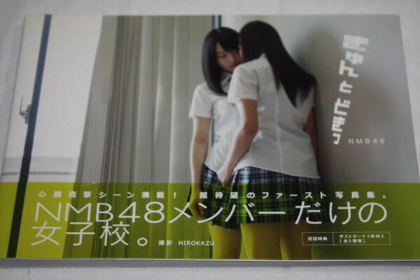 送料無料 AKB48 写真集 美品 セクシータレント/水着ビキニ/アイドル雑誌/プレミア本/明星/平凡/GORO/週刊プレイボーイ