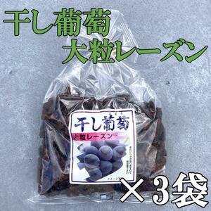 56【1200g 干し葡萄 大粒レーズン ナガトク】 葡萄 レーズン