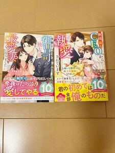 1月新刊　ベリーズ文庫2冊セット　冷徹エリート御曹司の独占欲に火がついて最愛妻になりました ねじまきねずみ／著、他1冊