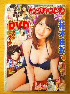 ☆超貴重・新品未開封☆ ヤングチャンピオン2014年3月25日号 vo.7　柏木由紀・山本彩・渡辺美優紀＆矢倉楓子・篠崎愛DVD＆クリアファイル付