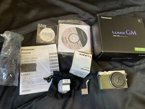 LUMIX DMC-GM5 グリーン　ジャンク品