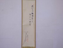 ★大徳寺 紫野 小堀明堂師 肉筆【掛軸 画賛『桜』木箱入り】紙本　幅30.4×全長174.2cm　路問えば桜目当てにおしへけり 春 茶道具_画像5