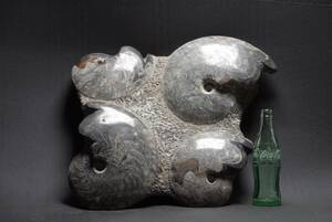 19.3. Anne mo Night fossil moroko production sea. Power Stone appreciation stone put stone decoration stone 