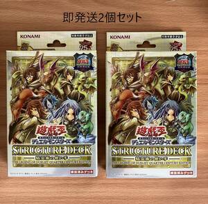 遊戯王OCG デュエルモンスターズ ストラクチャーデッキ 精霊術の使い手 2個セット