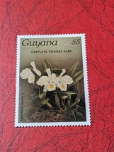 南米ガイアナのラン切手　 55セント　1種　1985年　切手未使用　ヒンジ跡 なし　_画像1