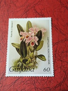 南米ガイアナのラン切手　 60セント　1種　1985年　切手未使用　ヒンジ跡 なし　