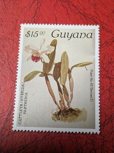 南米ガイアナのラン切手　高額15ドル　1種　1985年　切手未使用　ヒンジ跡 なし　