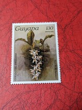南米ガイアナのラン切手　130セント　1種　1985年　切手未使用　ヒンジ跡 なし　_画像1