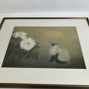 Art hand Auction f001 G Matazo Kayama Cat No. 50 Precision reproduction Offset 4-color printing Lithographic 3-color printing Reproduction Framed Approx. 57cm x 45cm, Artwork, Painting, others