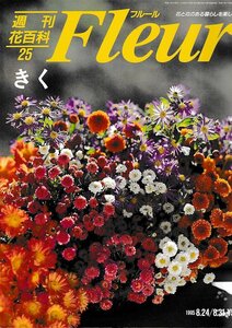 ■送料無料■Y21■週刊花百科　Fleur　フルール　No.25　きく■（概ね良好）
