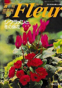 ■送料無料■Y21■週刊花百科　Fleur　フルール　No.36　シクラメンと冬の鉢花■（概ね良好）