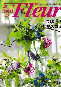 ■送料無料■Y22■週刊花百科　Fleur　フルール　No.67　つゆ草と初夏の野草■（概ね良好/小口天にシミ有り）