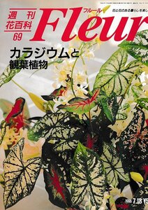 ■送料無料■Y22■週刊花百科　Fleur　フルール　No.69　カラジウムと観葉植物■（概ね良好/小口天にシミ有り）