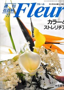 ■送料無料■Y22■週刊花百科　Fleur　フルール　No.77　カラーとストレリチア■（概ね良好/小口天にシミ有り）